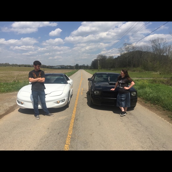 Meet your Posher, Shelby - Picture 4 of 6